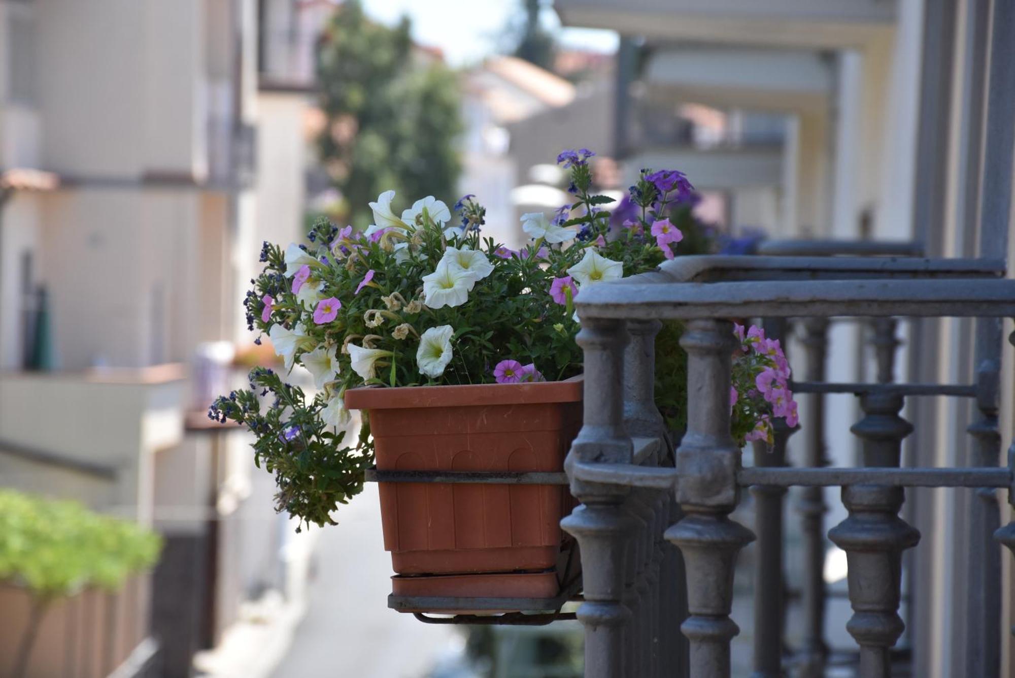 Hotel Risorgimento Agerola Buitenkant foto